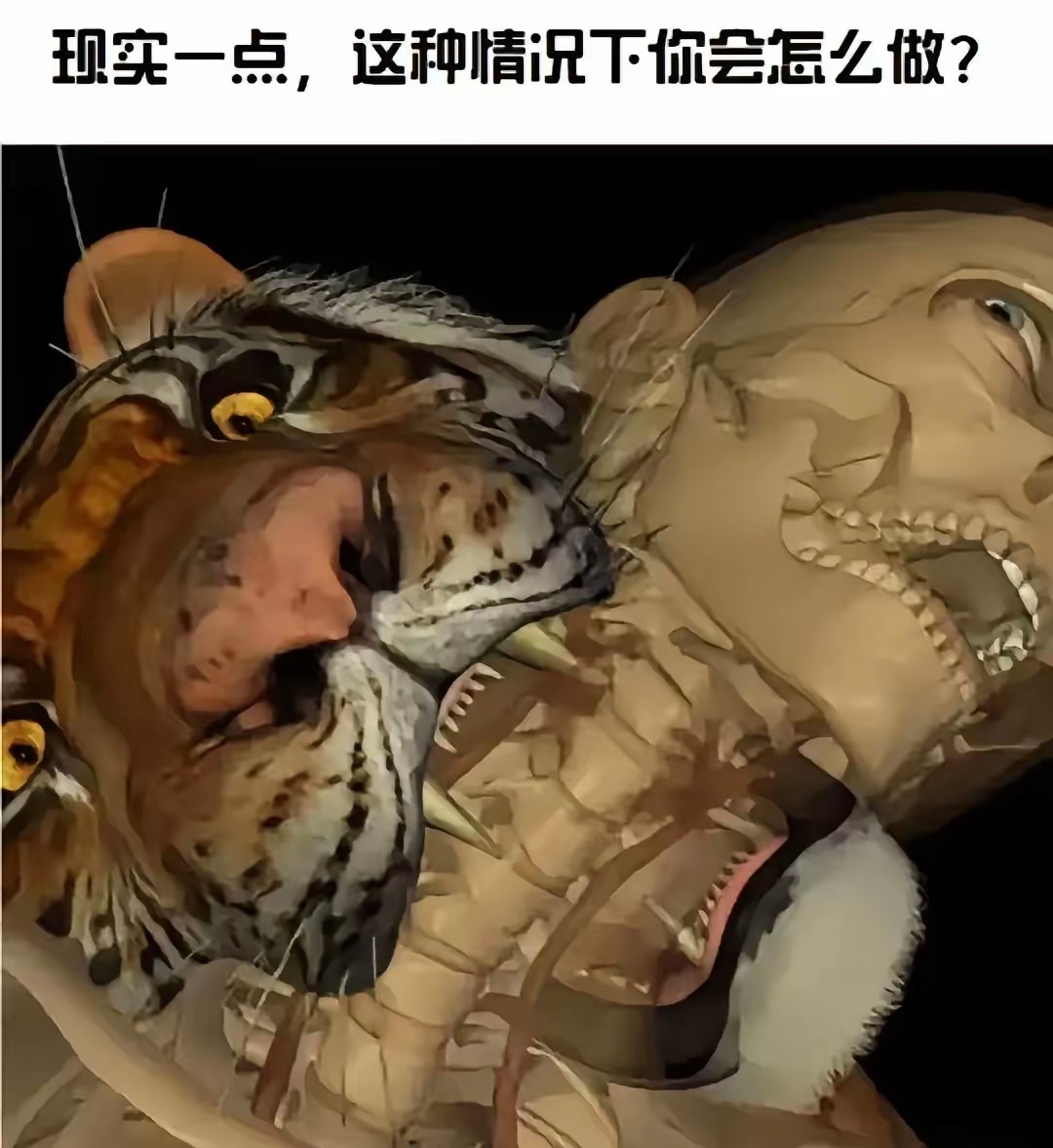 如果真的被老虎咬住了脖子
要怎么做，才能完成反杀？？？
像图这样，有可能反杀吗？