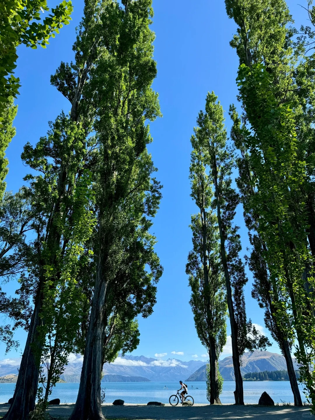 💐用live photo留住了Wanaka美如画的夏天！

二月是南半球的夏末