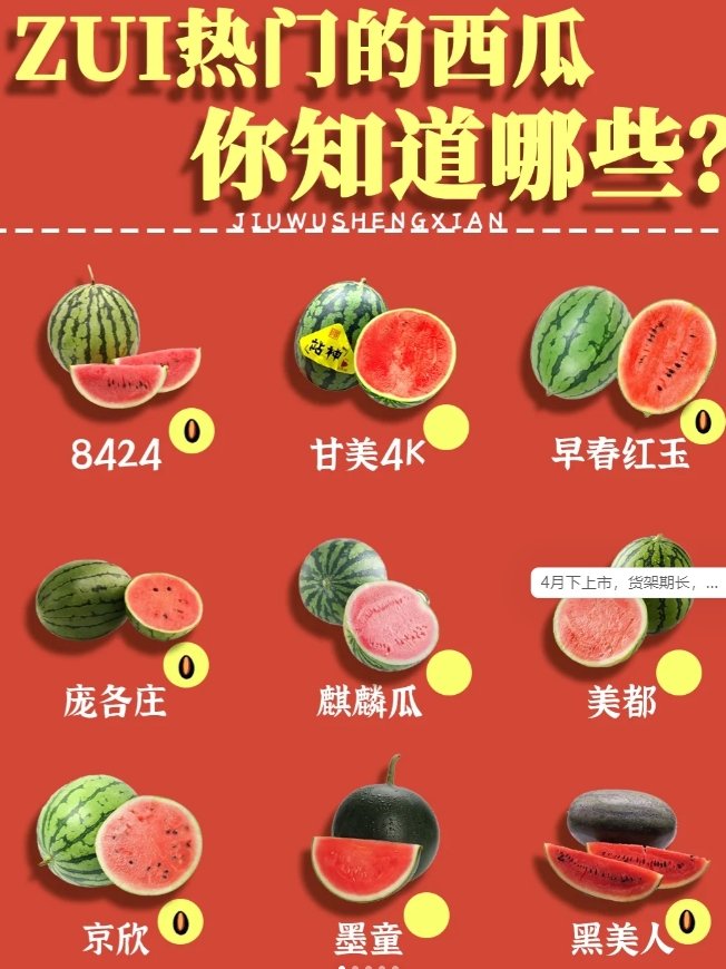 8424：国产西瓜王者，名字起源于1984年第24组优秀的配组培育而来；
皮薄，