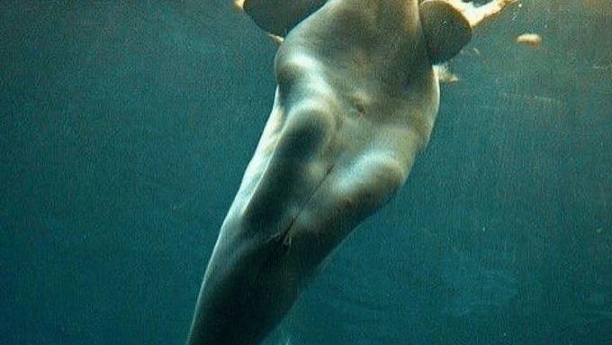 让你眼界大开的30张图，看完姿势大涨！