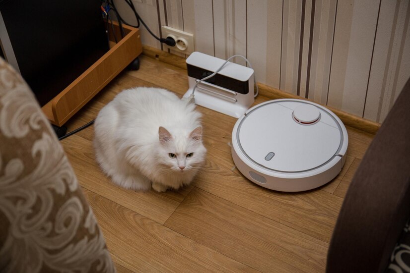 在养猫的日子里，除了享受它们带来的欢乐，清理掉落的毛发和猫砂的烦恼也常常让我感到