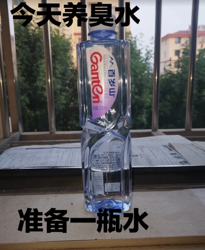 臭水养成计划

配方：水、泡好的方便面、绿茶、纯牛奶、胶水、可乐、墨汁、辣椒油、