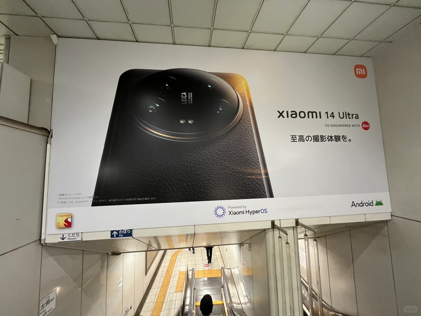 这在日本卖不动吧
19万日元啊再加上品牌知名度