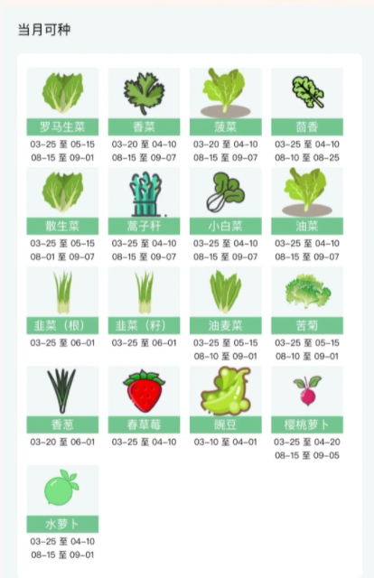 市民种菜指南5：春耕的节奏

中原地带有个谚语“清明前后，点瓜种豆”，北京冷些，