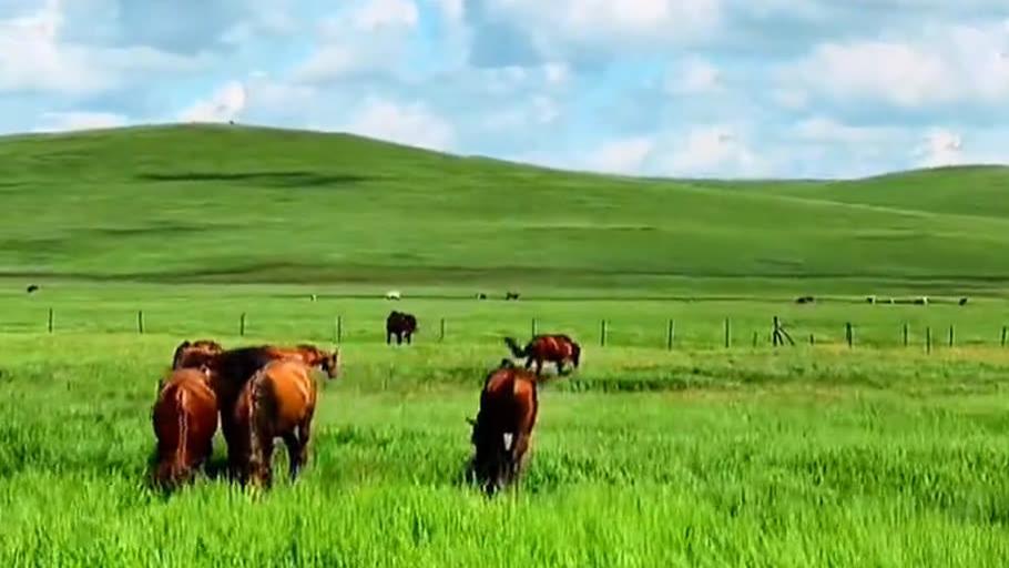 “我想妈妈了”