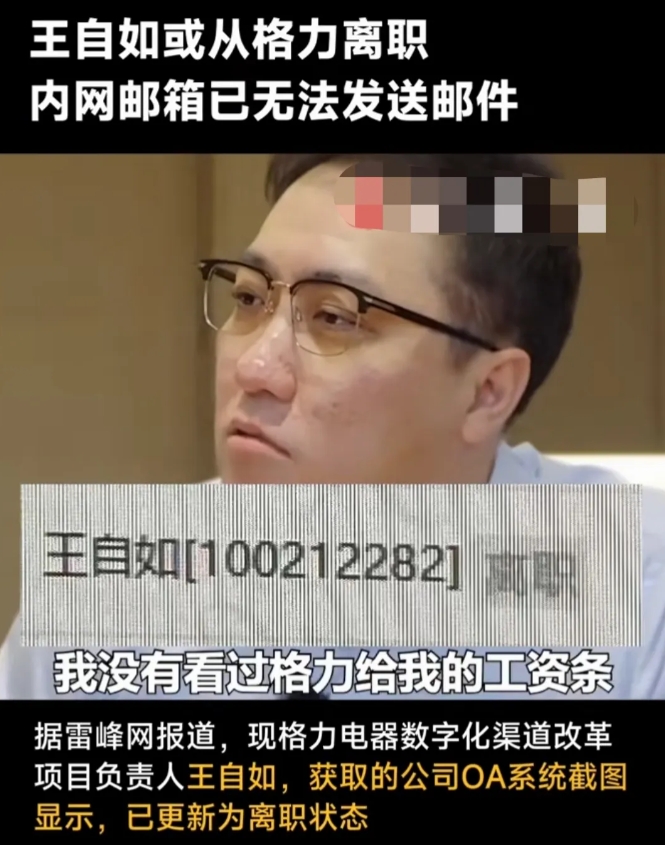 王自如从格力火速离职我觉得一点也不奇怪。原因有三:1.当初王自如入职格力做渠道销