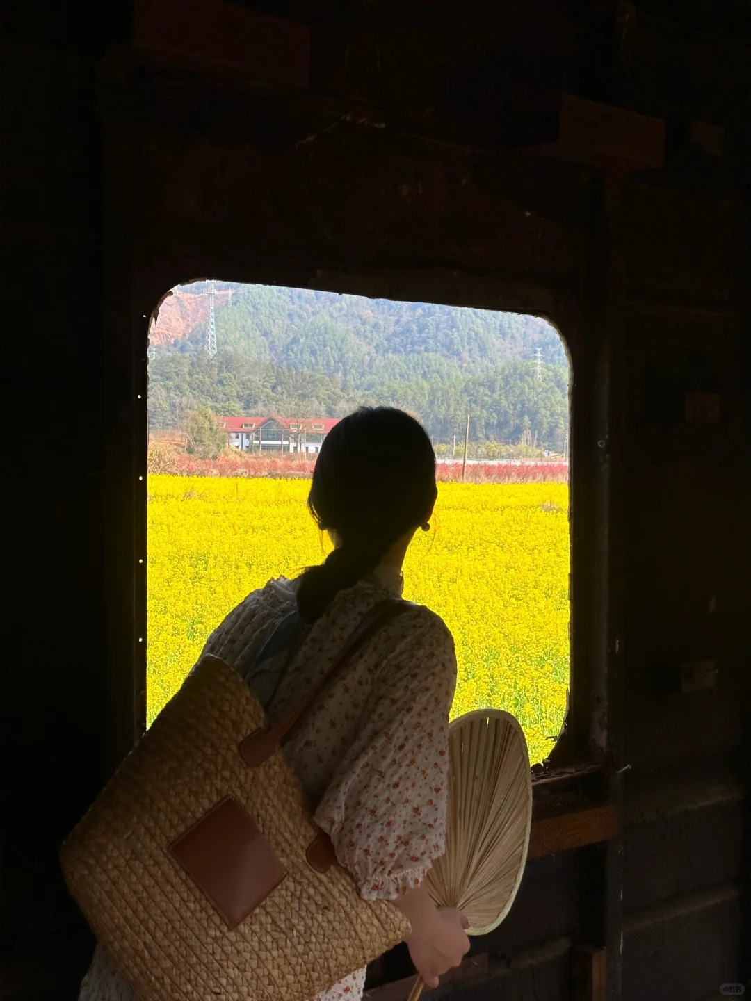 景德镇 春天油菜花列车
📍童画村（景德镇市区往瑶里古镇会经过）