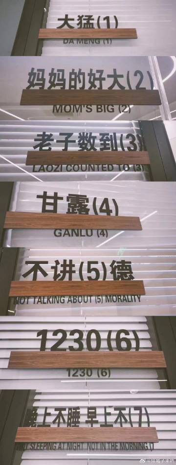 公司会议室是懂起名的！ ​