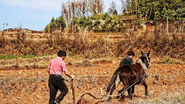 “最怕立冬一日晴”，今日立冬，立冬晴天代表什么？有何预兆