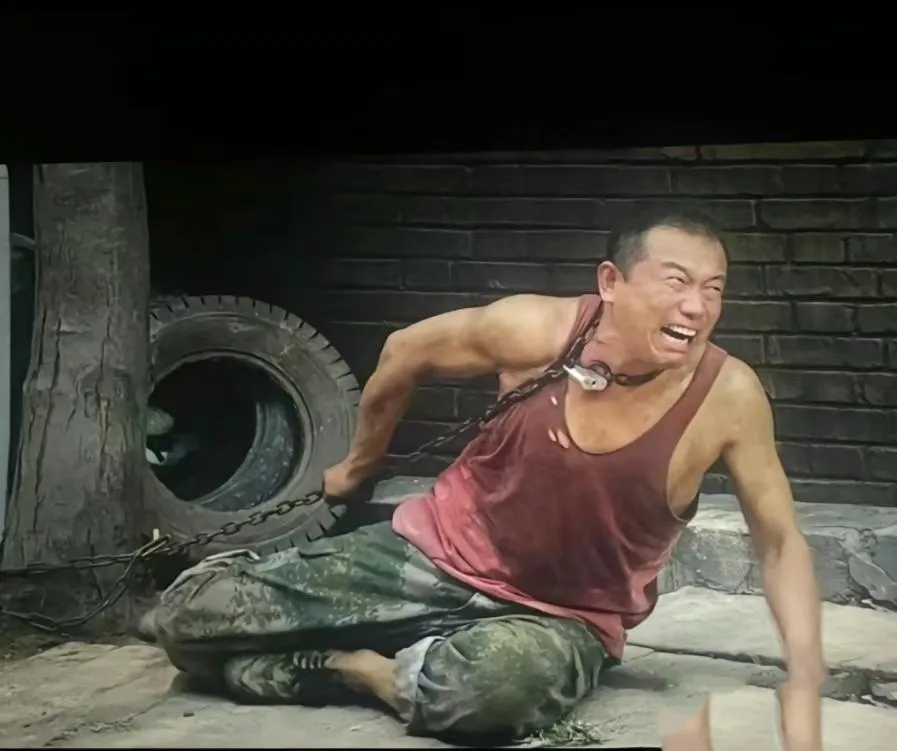 第二十条最让我震撼的镜头。，当刘文经欺负完他的妻子，镜头一转在院里的王永强，他竟