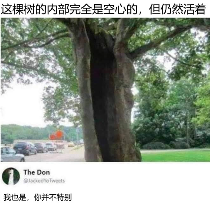 我也是，你并不特别