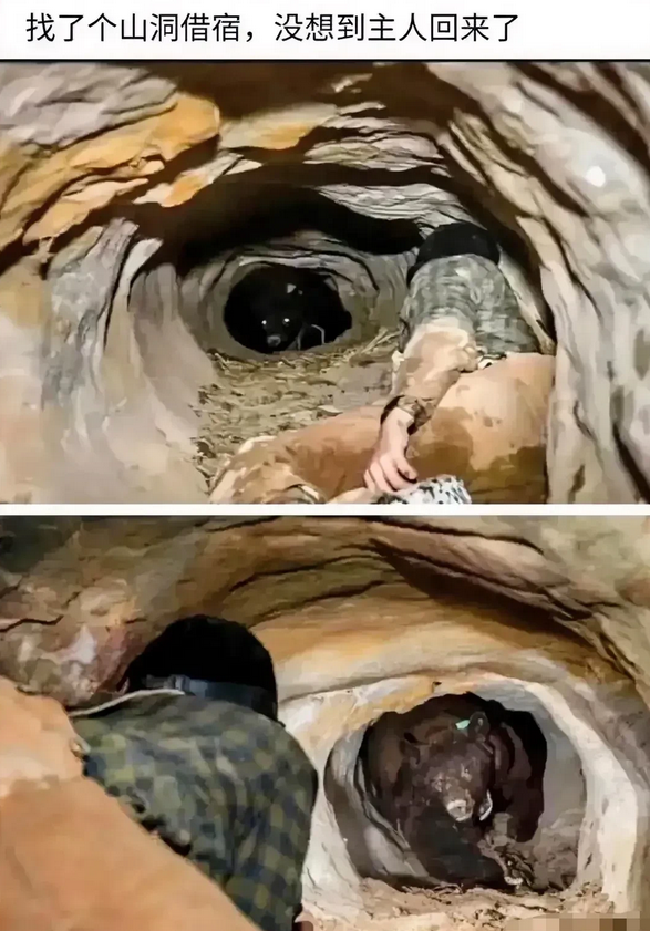 找了个山洞借宿，没想到主人回来了
