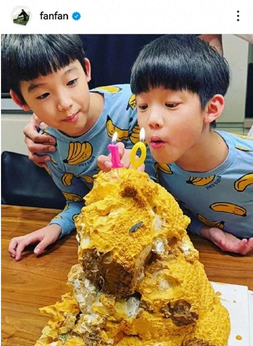 前几天，范玮琪在网上晒出了好多照片，原来是给她的双胞胎儿子睿飞、睿翔庆祝 10 