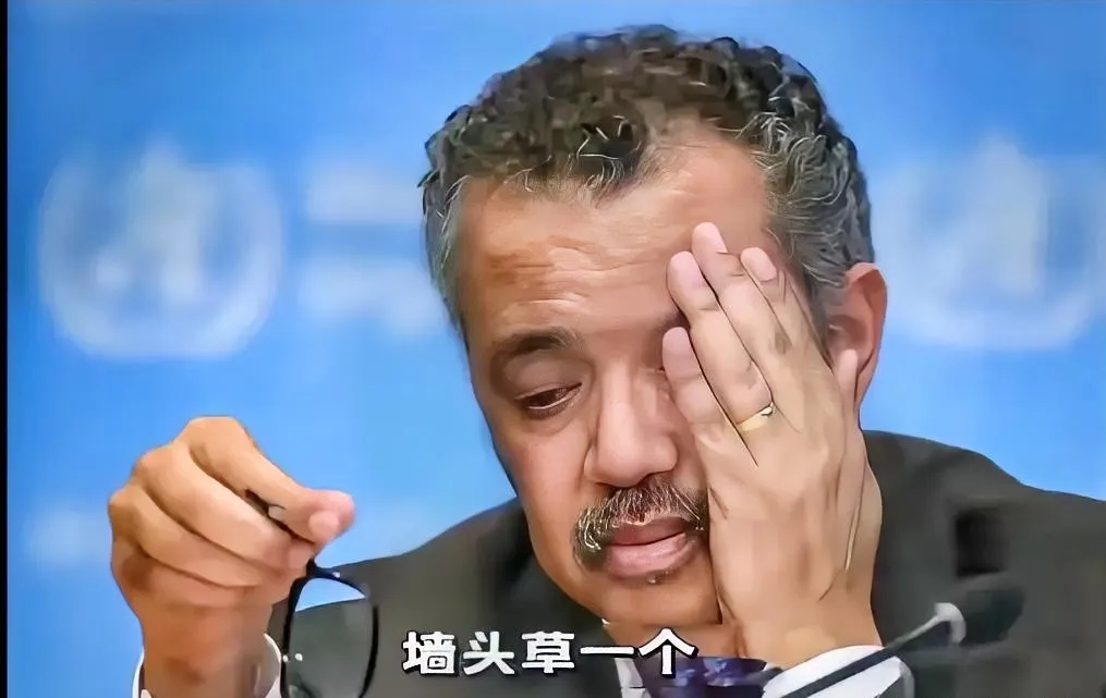 谭德赛又开始发疯了！
谭德塞办公室官网发布“病毒溧源”的回应惹怒众多网友，原话是