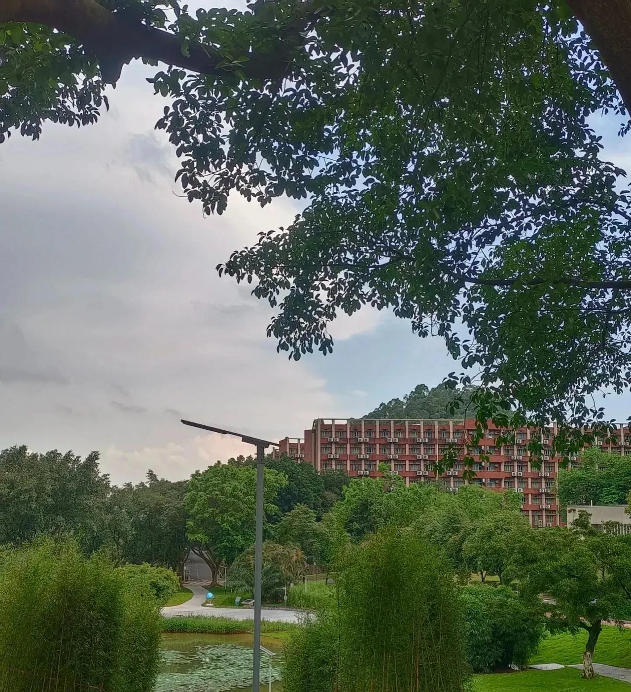 大家发现了吗？
现在的家长似乎变得淡定了。同事的小宝贝今年参加了中考，成绩没达到