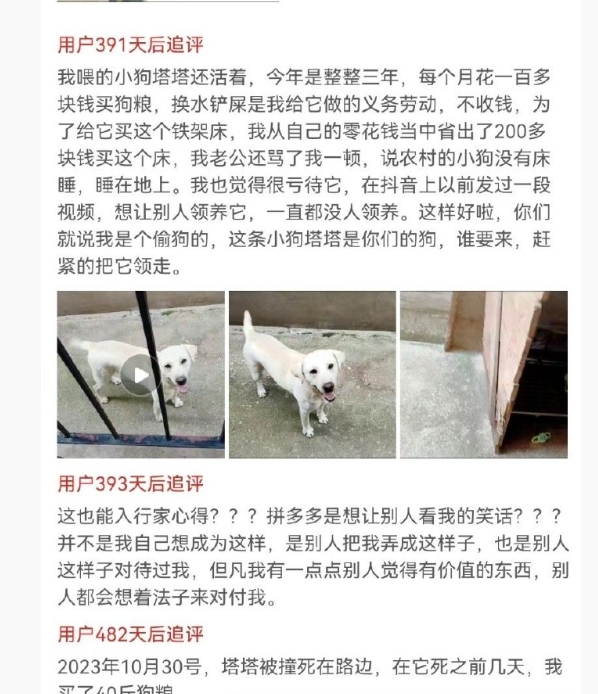 狗惨，她也惨，花两百块需要经过老公同意，甚至会被骂[苦涩]好令人难过的买家秀 