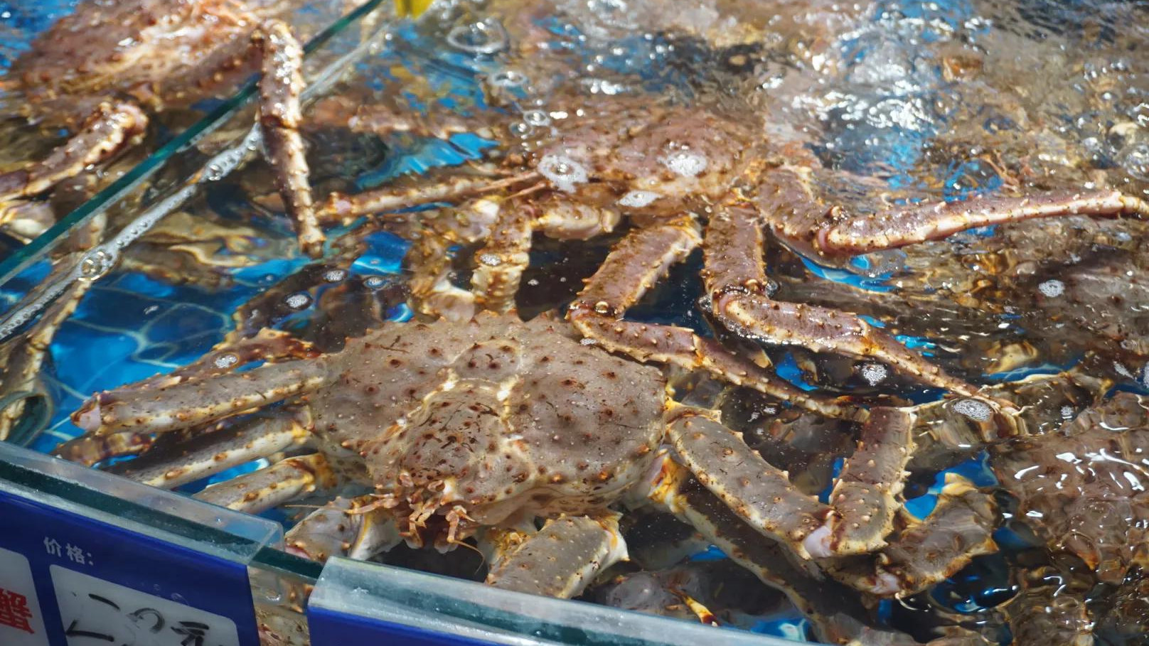 厦门轮渡记住这个位置！海鲜大餐馋坏了！