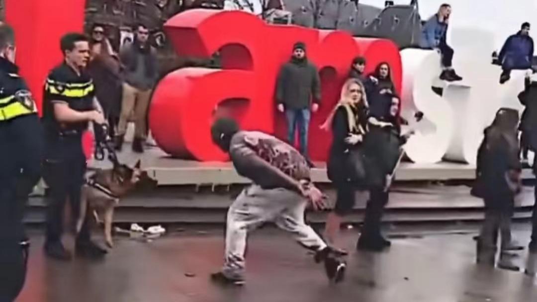 智商堪忧，黑人挑衅警犬却被警犬拿下