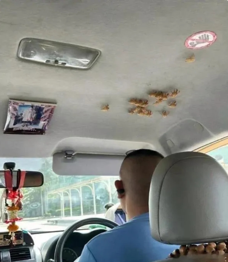 今天上班不赶趟了，滴滴叫了个车，
没想到司机一个急刹车，
我一抬头就看到车棚顶上