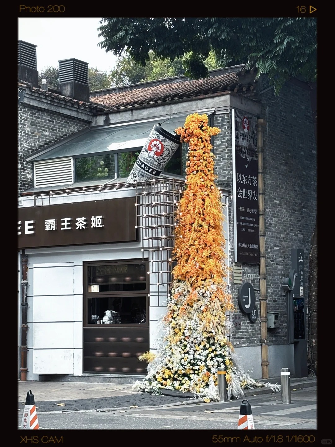 王茶姬……吐了