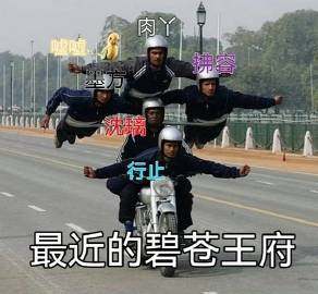最近的碧苍王府。。。。这图我笑了十分钟~~~哈哈哈哈~