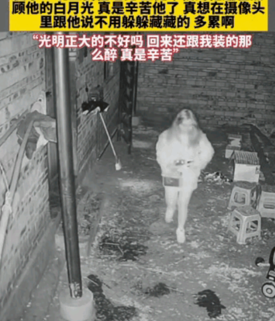 女子不敢相信，半夜在自家的监控里，看到了这样一幕