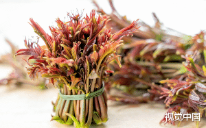 老太偷我家香椿做菜致女儿流产，称我打了药让我赔钱，我笑了，“我上的都是自家产的农家肥，你们吃了我的…