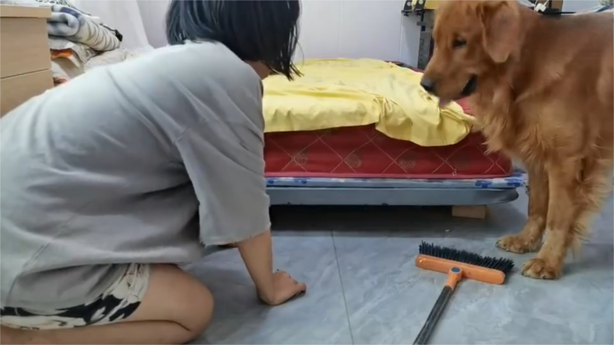 狗子：不客气
