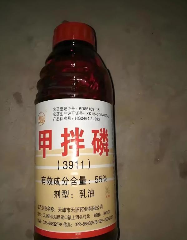 河南，大妈怕羊吃麦苗，用农药泡了玉米粒，撒进麦田，之后，她把农药瓶子挂在麦田边上