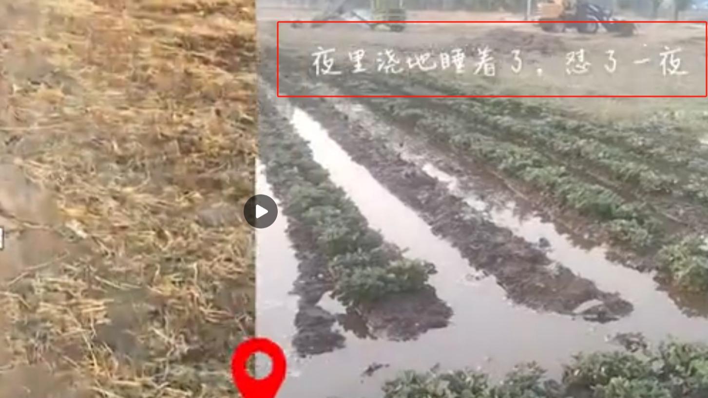 农户为抗旱昼夜浇地，累得睡倒在田里，严峻气候形势下对环保的思考