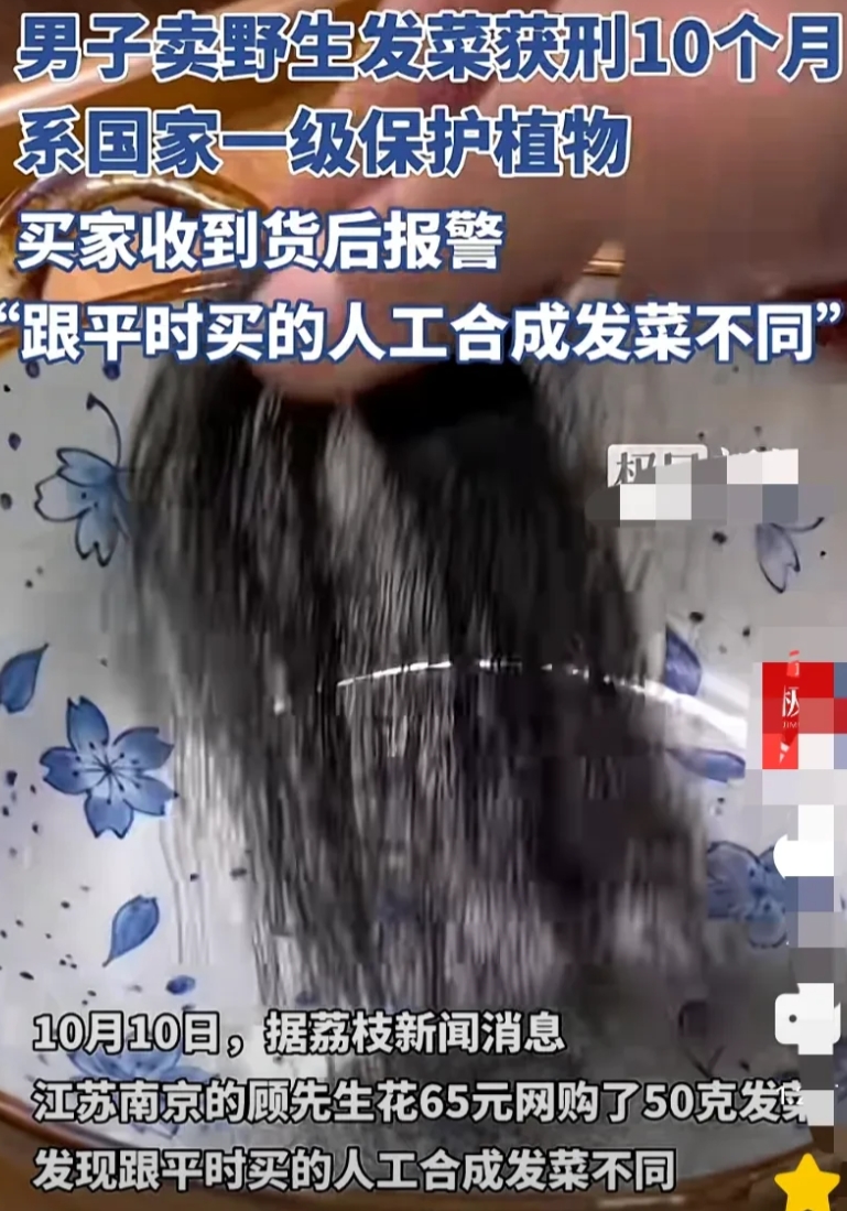“卖的人有罪，买的人有罪吗？”江苏南京，男子在网上花65元买了50克发菜，发现跟