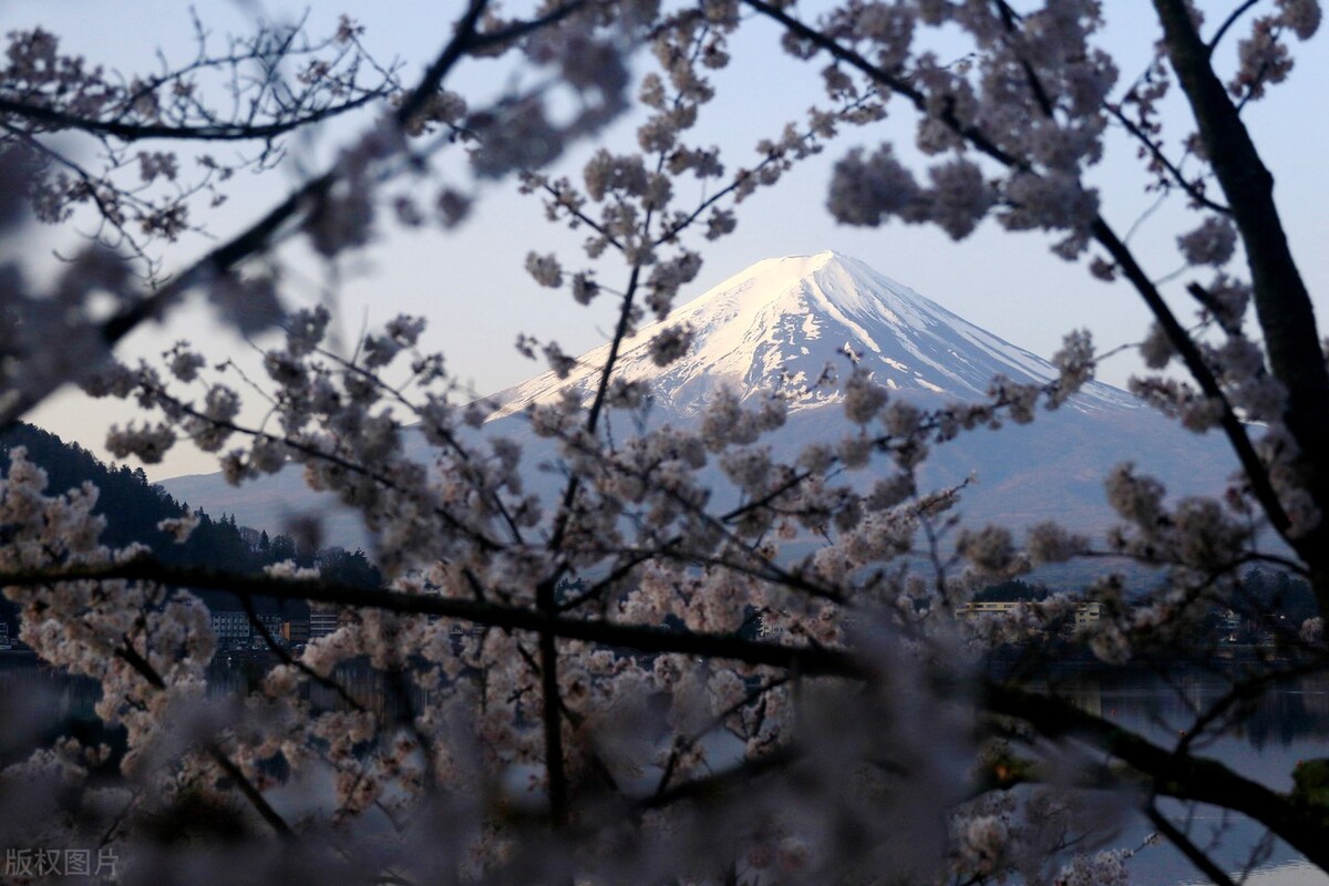 值得关注！
5月9日，日媒报道，一名中国籍男子和两名日本青年男子在街头发生争执，