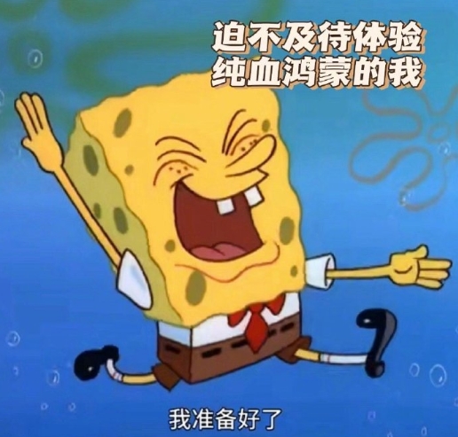 芜湖~纯血鸿蒙这次真的要来啦！

听说公测版不仅创新十足，而且安全性能上也很出色