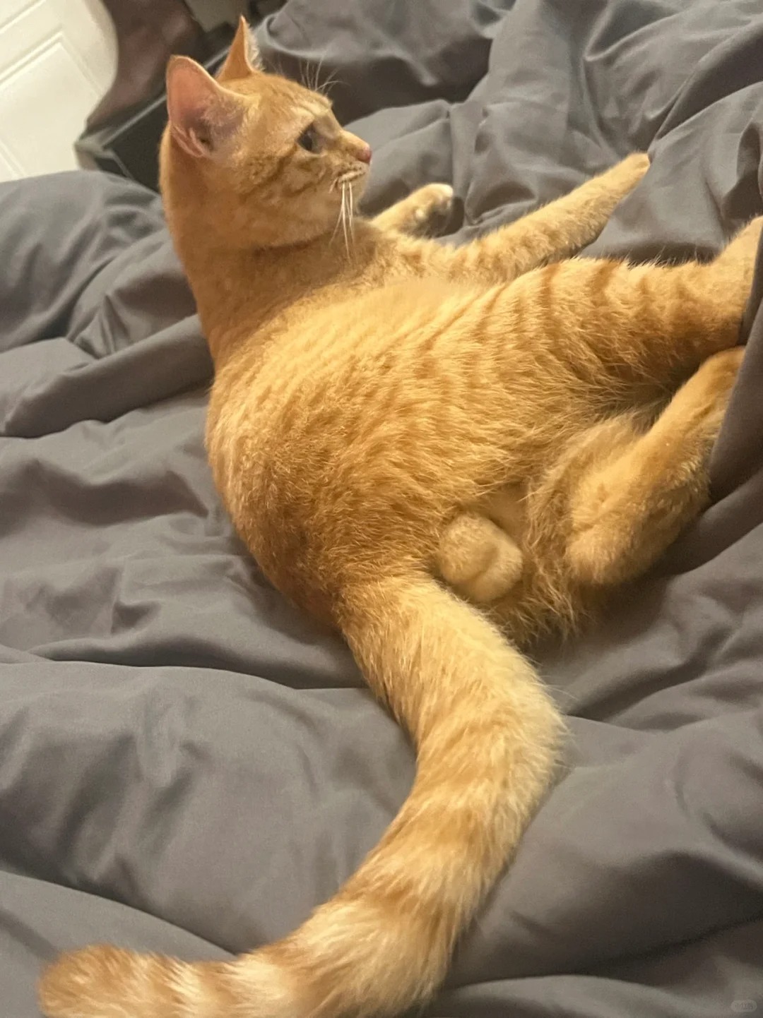 （：我妹给我发的库存 且看且珍惜