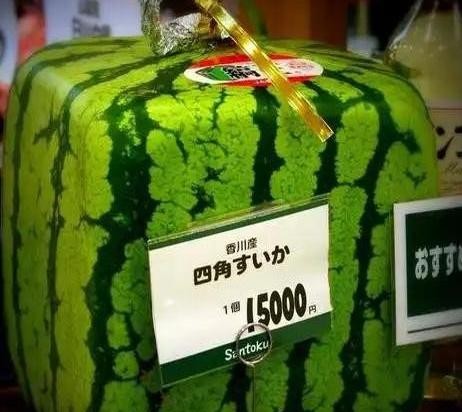 日本西瓜这么贵为什么不把中国的西瓜进口到日本？

说句不好听的，日本西瓜价格如果