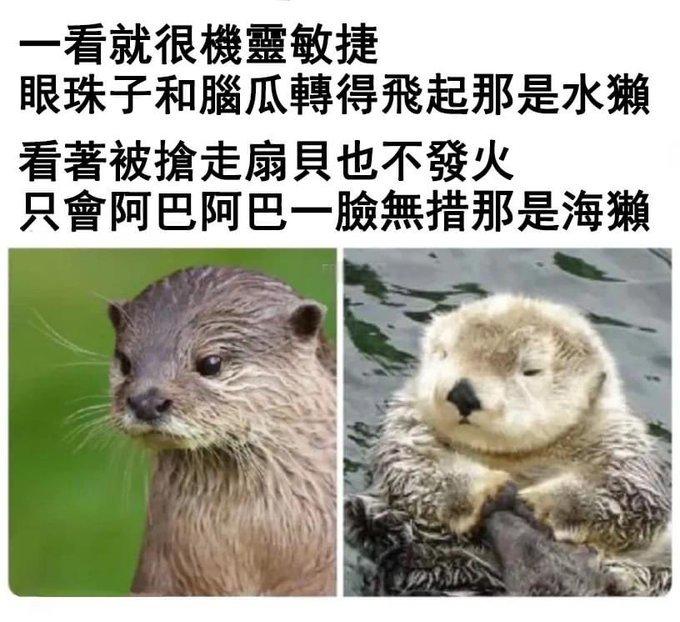 你会区分吗？