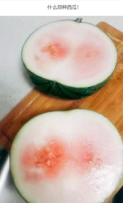 什么怨种西瓜!