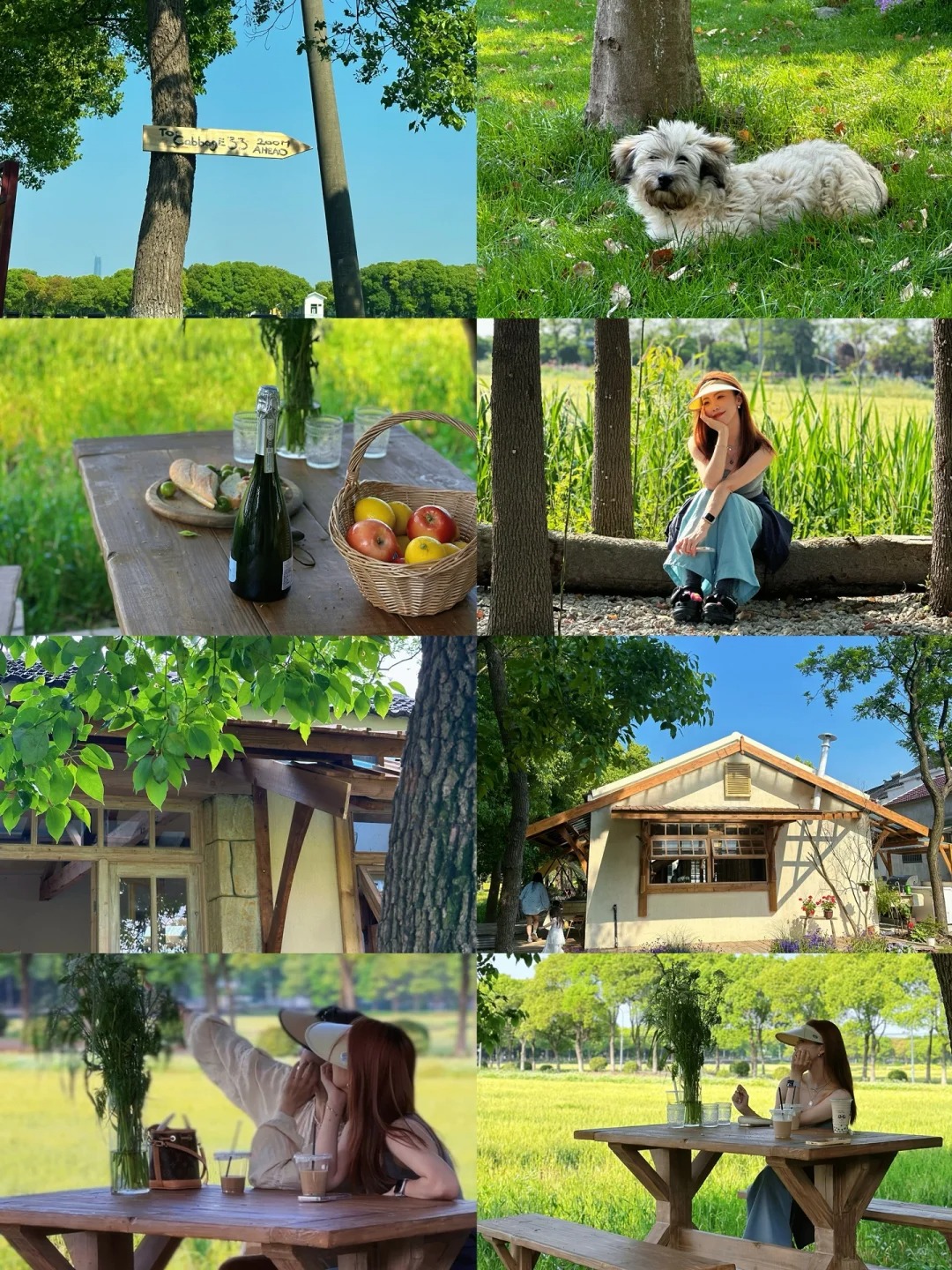苏州适合i人的放空地🏡
坐在小木屋放空一下午，看着风吹动树叶，吹过麦田
满屏绿