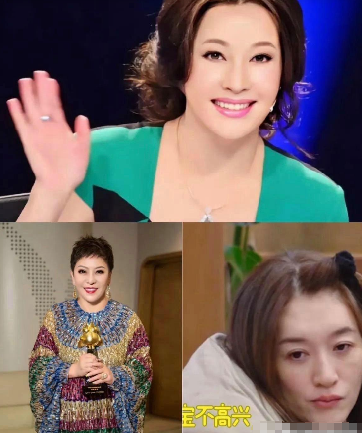 摸着良心说，一路繁花综艺里，我彻底看清这三人!

1、向太的形象大反转，从外界传