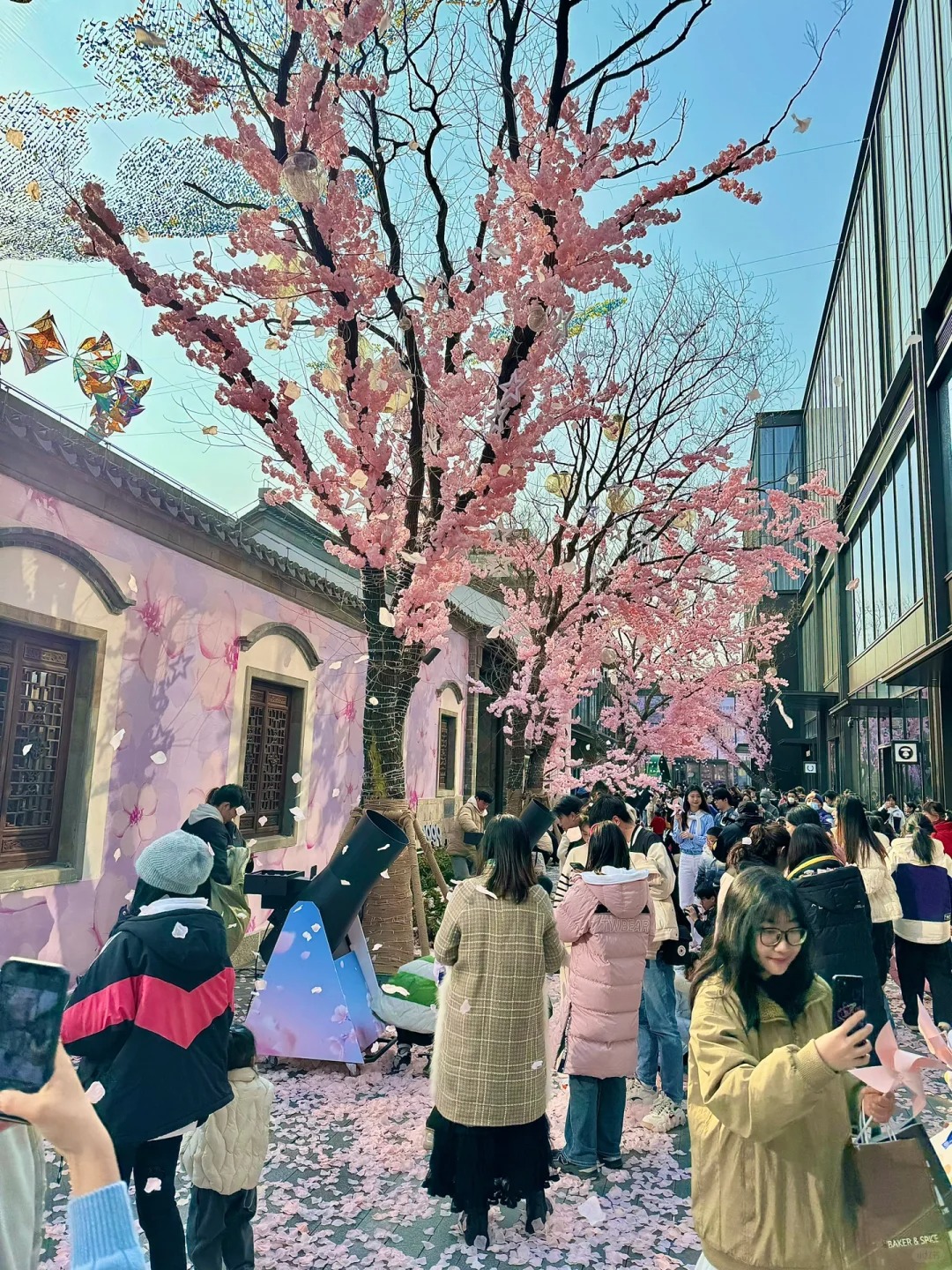 南京还是太超前了……浪漫哭了🤔……
你永远可以相信南京的春天
🌸🌷💐美哭