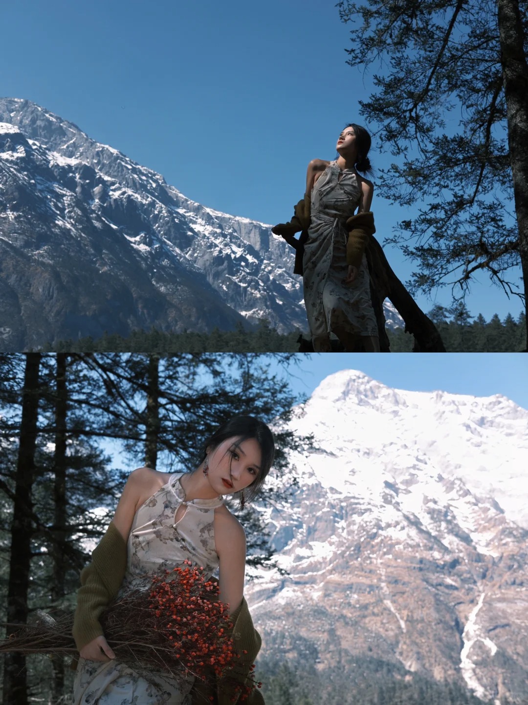 在云杉坪拍到了人生照片
这几个机位赶紧去拍
人少，还不用排队
随便怎么拍都好看