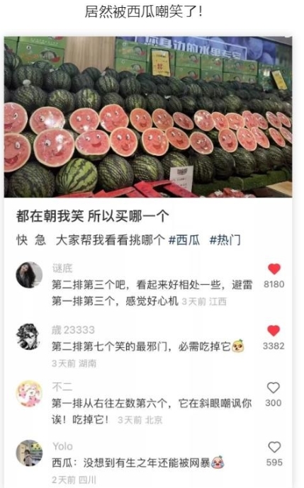 居然被西瓜嘲笑了！