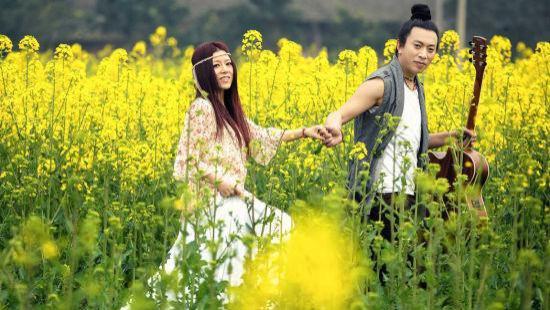 “草根组合”安与骑兵，从红极一时到销声匿迹，他们经历了什么？