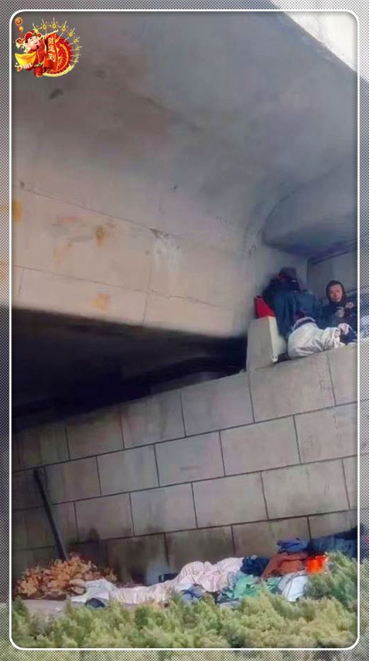 专家建议穷人出租空房。他租出房子后，无地可居。