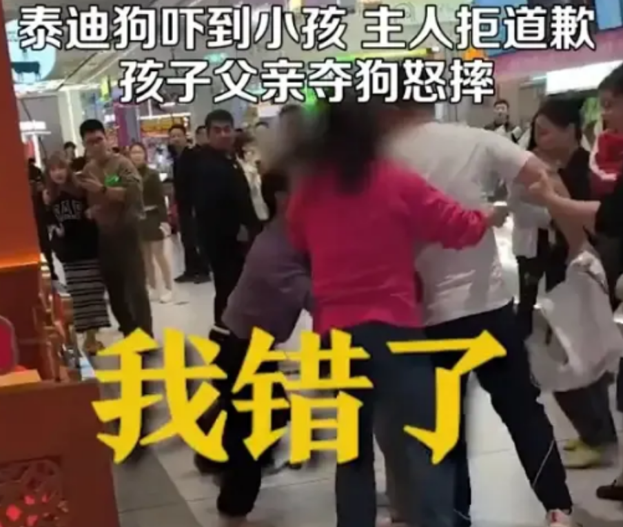 11月9日湖北武汉，女子逛商场，泰迪未拴绳，吓到小孩，又拒不道歉，小孩家长抢狗当