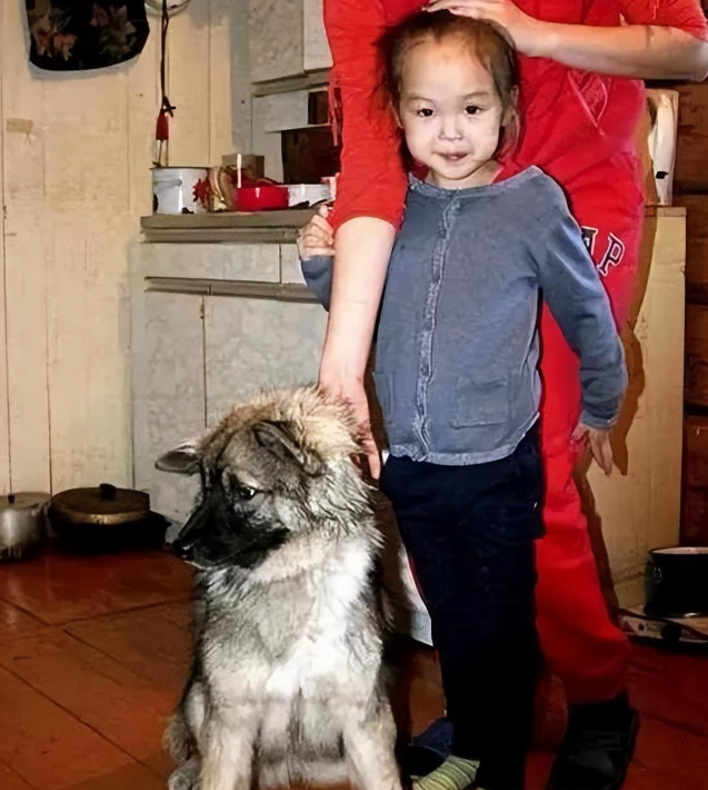 2014年，俄罗斯3岁小女孩被困原始森林，十几天过去了，搜救队仍一无所获，就当大