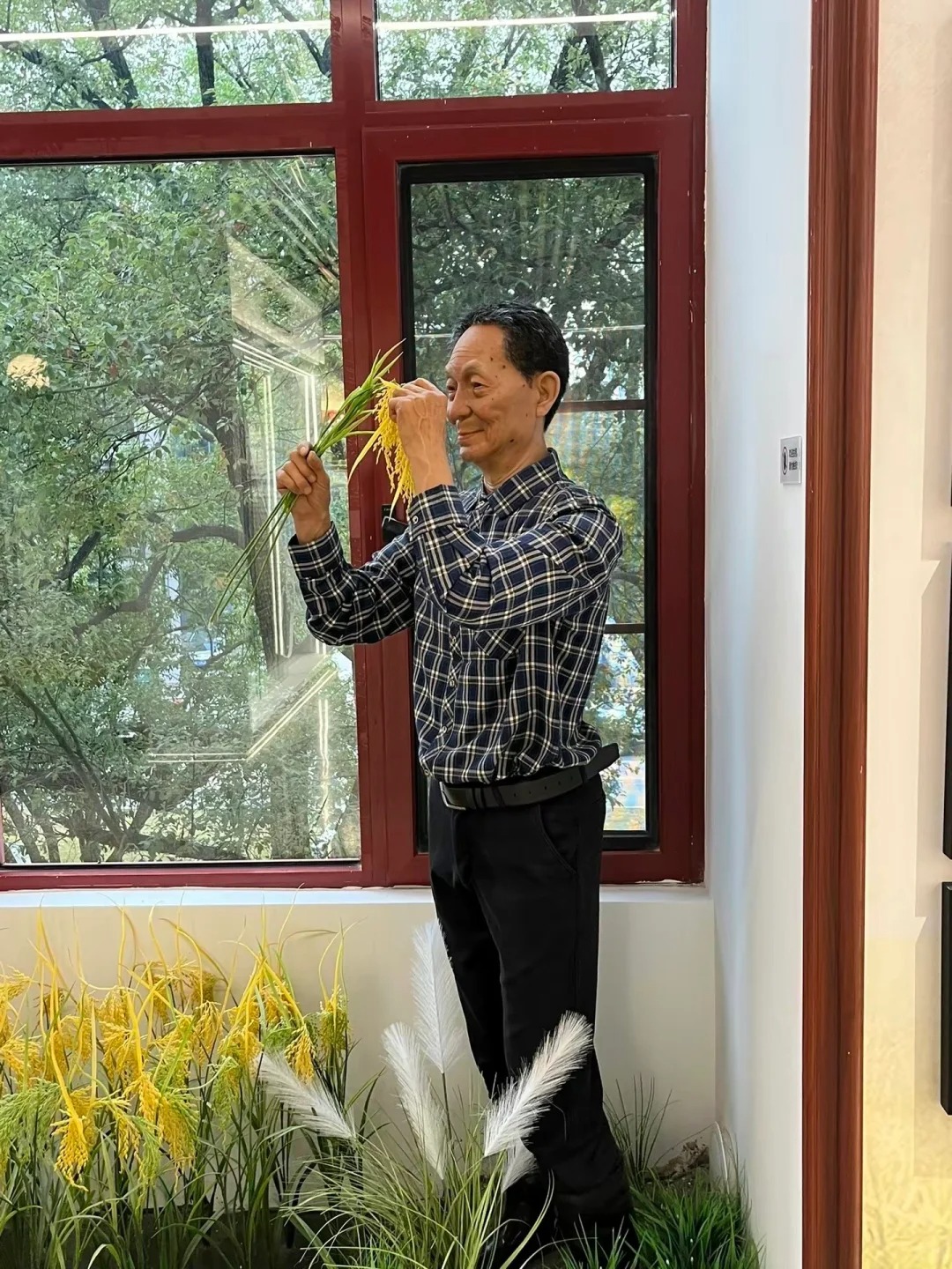 这可能就是我高考报农大的原因吧
袁隆平爷爷是我从小的偶像，我的爷爷奶奶都是普通的