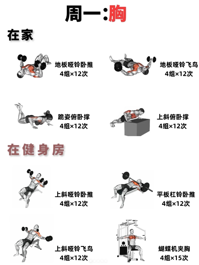居家or健身房，一周训练计划，练出好身材！

新手小白可以使用的一周训练计划安排