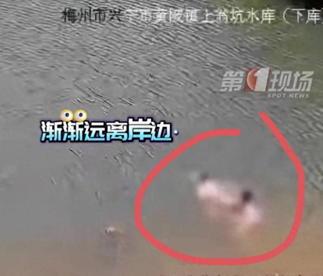 在这个热闹的夏日里，原本应该是孩子们尽情嬉戏、享受假期的美好时光，可谁也没想到，