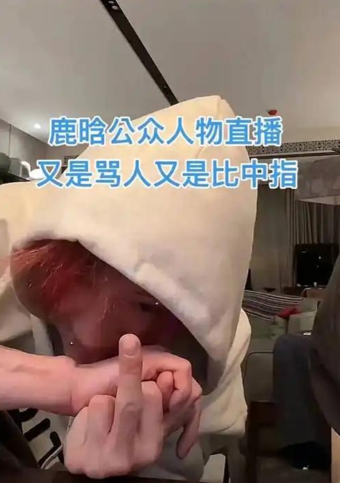 一觉醒来，鹿晗冲上热搜！

《五哈》不录了、新歌不宣传了、杂志不预售了。

三个